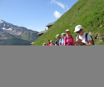 Laucherenalp Höhenweg  (145)